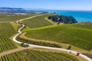 Marlborough to host wine conference