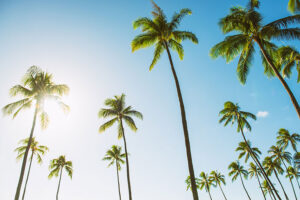 Hawaii Tourism urges Aussie return to Maui