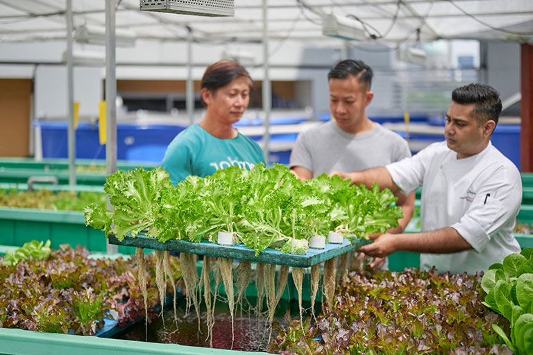 Sustainability certification gains ground in Singapore’s MICE industry