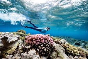 Tourism Tropical North Queensland launches Great Barrier Reef education platform