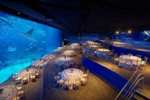 New Singapore Oceanarium targets business events