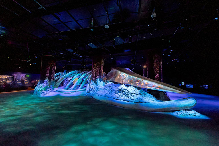 New Singapore Oceanarium targets business events