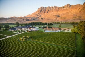 New Zealand’s Hawke’s Bay to host international wine tourism conference