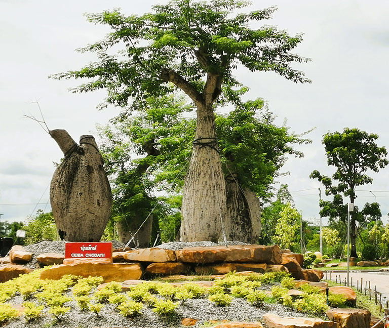 Khao Yai and Udon Thani draw interest to Northeast Thailand